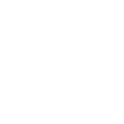 Customer Focus Icon